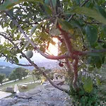Farma Borgo San Benedetto *