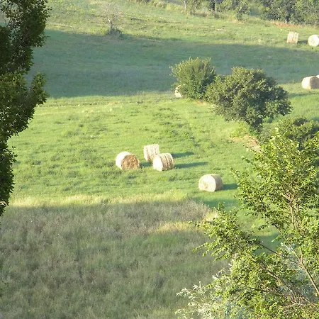 בית חווה Borgo San Benedetto פייטרלונגה