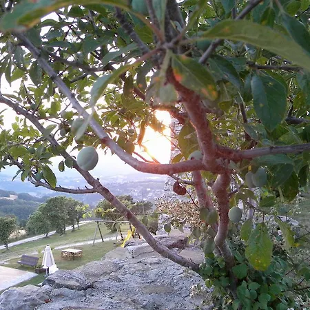 בית חווה Borgo San Benedetto *